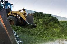 Making Silage