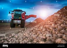 Mechanic Beet Harvesting Machine