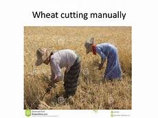 Mechanic Beet Harvesting Machines