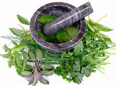 Medicinal Herbs