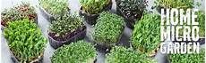 Micro Garden Ploughes