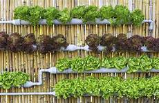 Micro Garden Ploughes