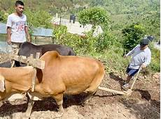 Micro Ploughes