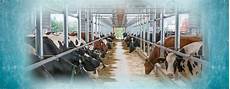 Milking Construction