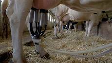 Milking Constructions