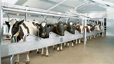Milking Controllers