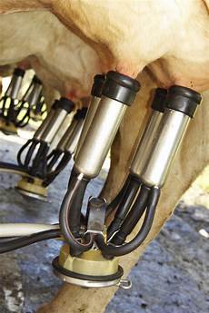 Milking Equipment