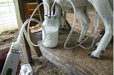 Milking Equipment