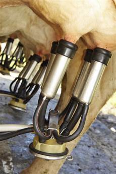 Milking Machine