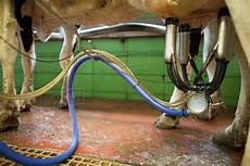 Milking Machine