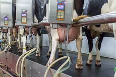 Milking Parlor Equipments