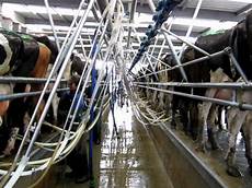 Milking Parlors