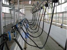 Milking System