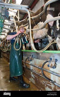 Milking Units