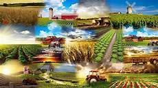 Modern Agriculture