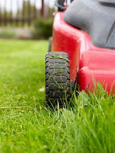 Mower Blade