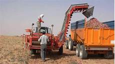 Onion Harvesters