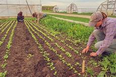 Organic Farmer