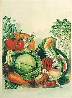 Organic Farming