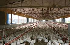 Organic Farming