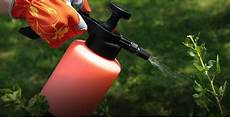 Organic Pesticides