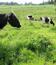 Pasture Mowers