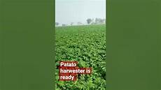 Patato Harwester