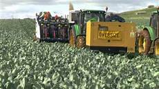 Peanut Harvester