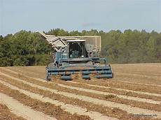 Peanut Harvesters