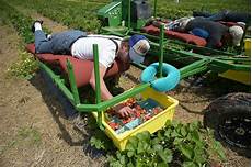Picking Machine