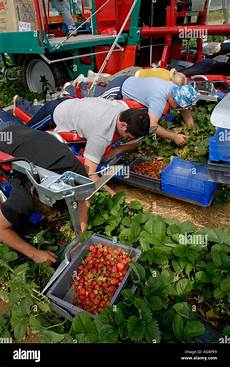 Picking Machine