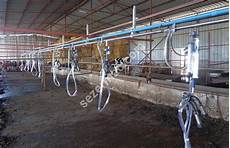 Pipeline Milking Machine
