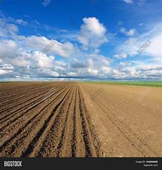 Ploughes