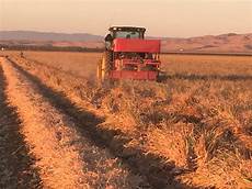 Potato Harvester Machines