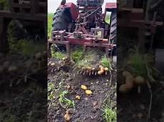 Potato Harwester