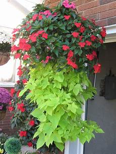 Potato Planters