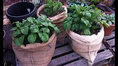 Potato Planters