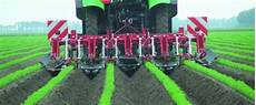 Potato Weeder