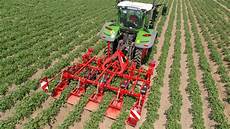 Potato Weeder