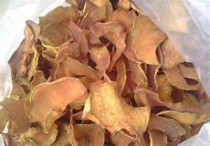 Pumpkin-Seed Dryer