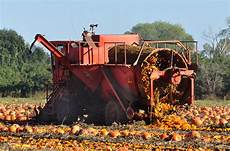 Pumpkin Seed Harvester