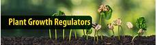 Regulators Of Plant Growth