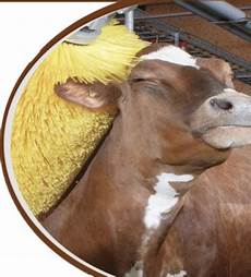 Rotatable Cow Brush
