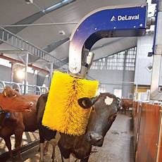 Rotatable Cow Brush