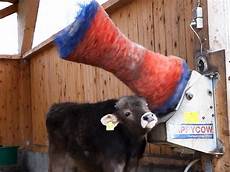 Rotatable Cow Brush