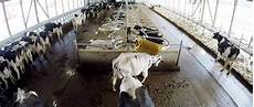 Rotatable Cow Brushes