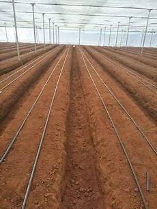 Rounded And Flat Drip Irrigation Pipes
