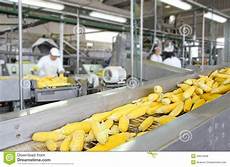 Seed Production Machinery