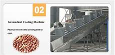 Seed Roasting Machine