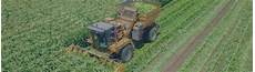 Sequence Free Corn Harvester